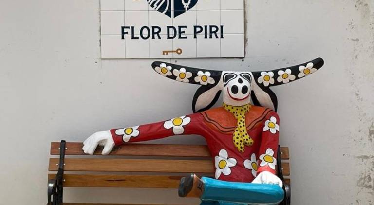Pousada Flor de Piri in Pirenópolis