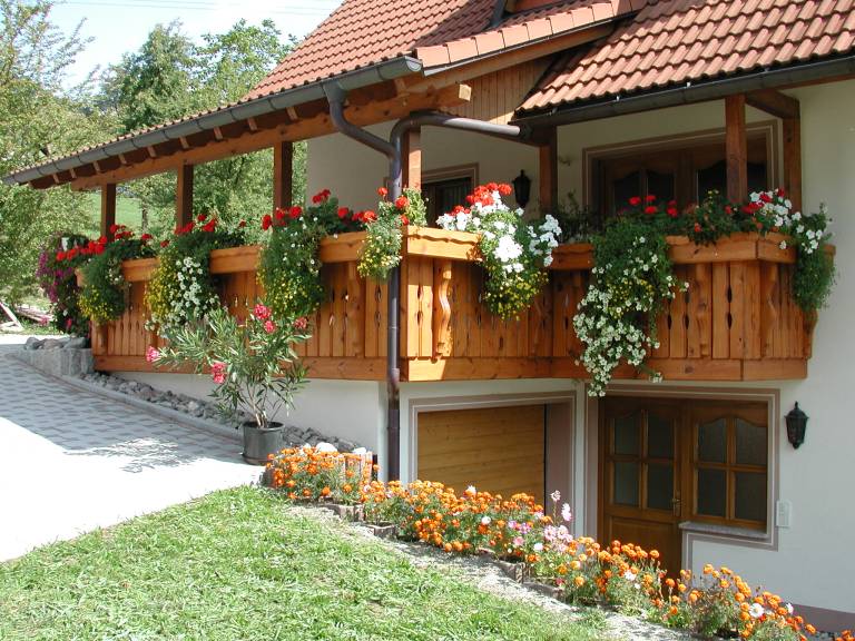 foto11