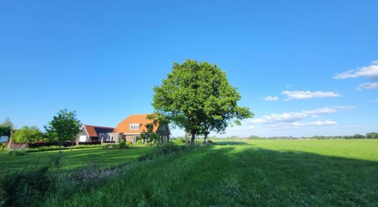 Bed & Breakfast de Vink