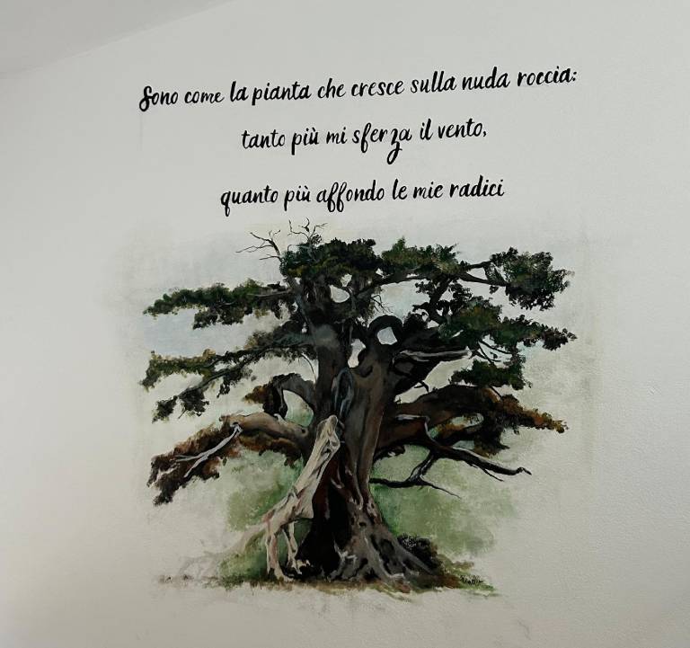 Bed & Breakfast Laino Castello