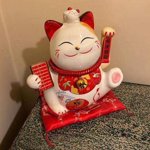foto7
