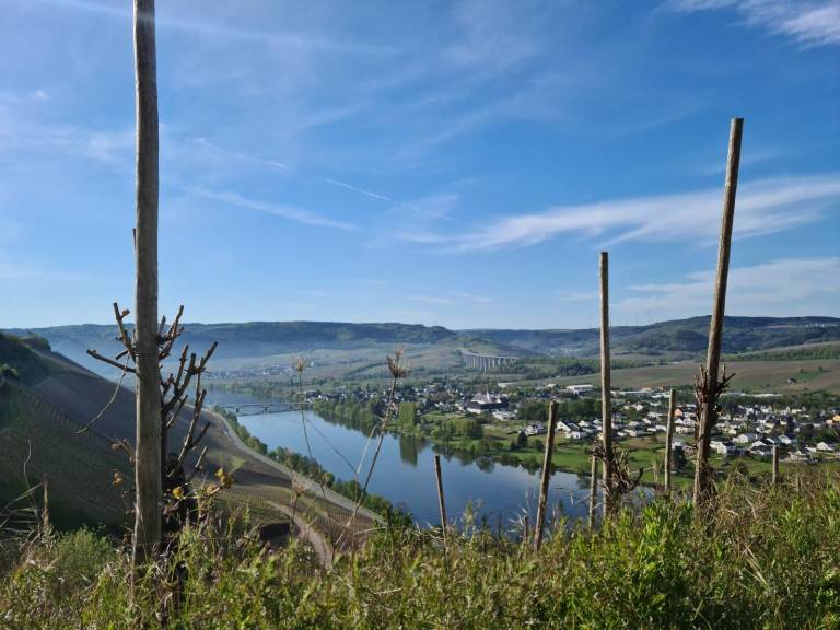foto10