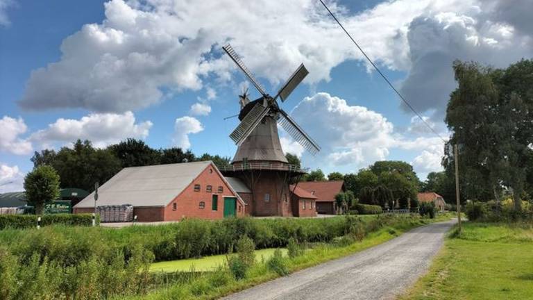 foto16