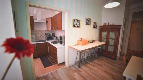 Apartment | Pet-friendly — photo 2