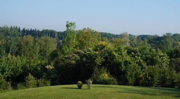 foto14