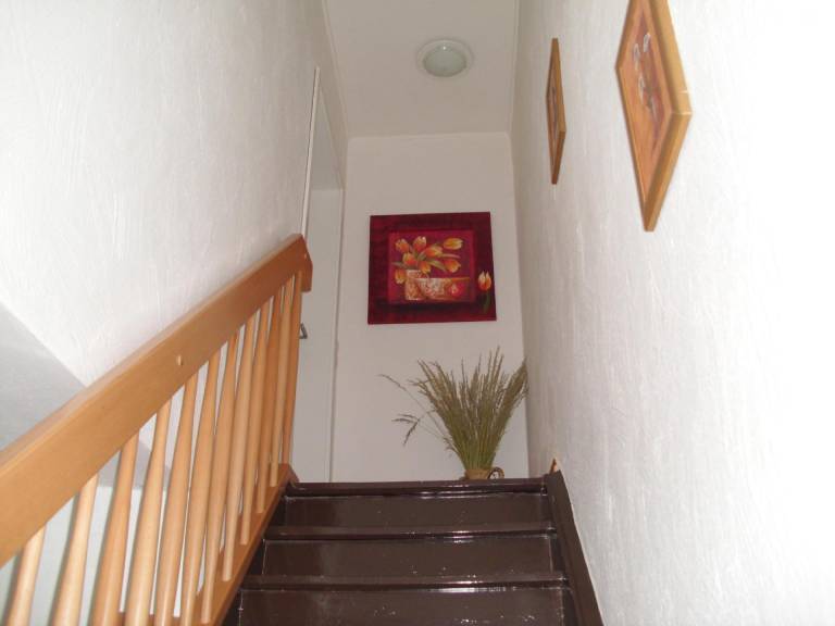 foto12