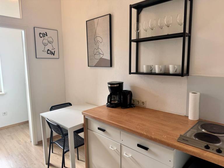 Ferienwohnung Halle (Saale)