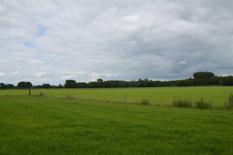 foto16