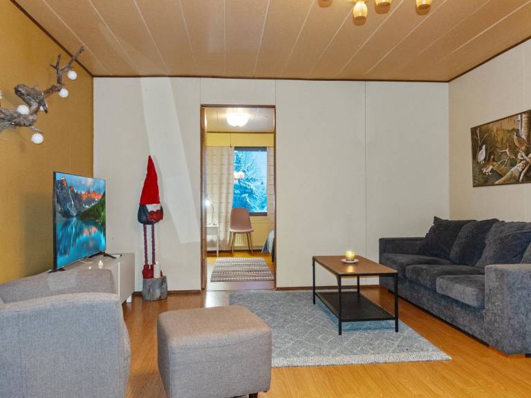 Vacation home with sauna — photo 3
