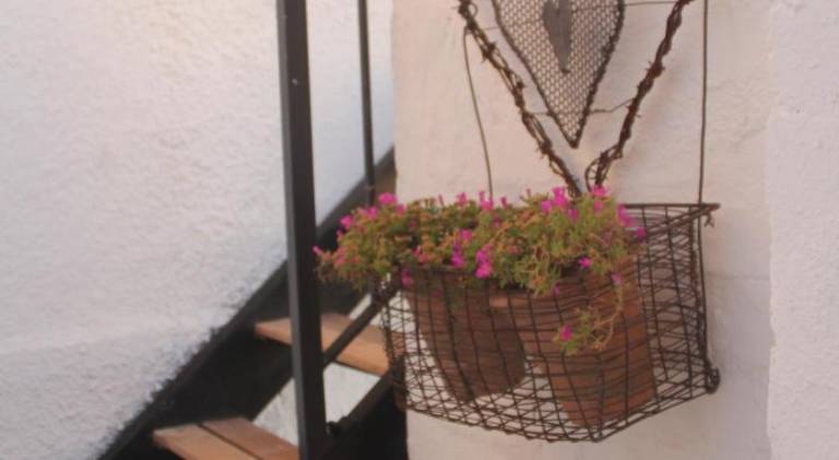 foto17