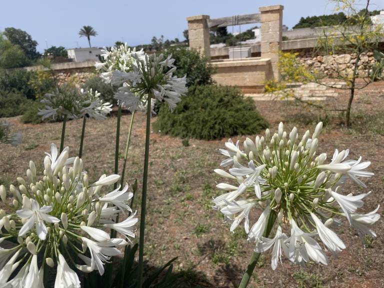 Appartamento Torre Lapillo