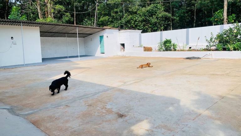 foto21