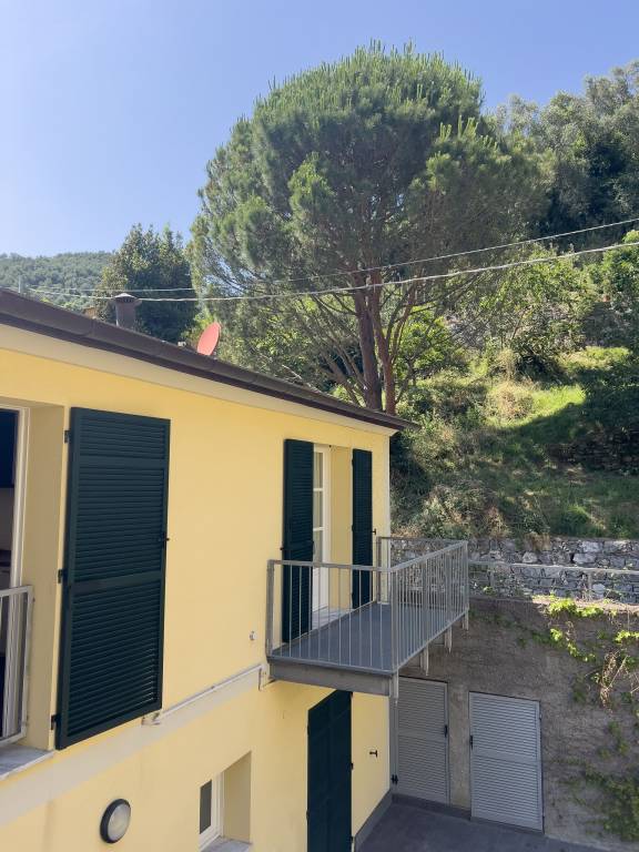 foto41