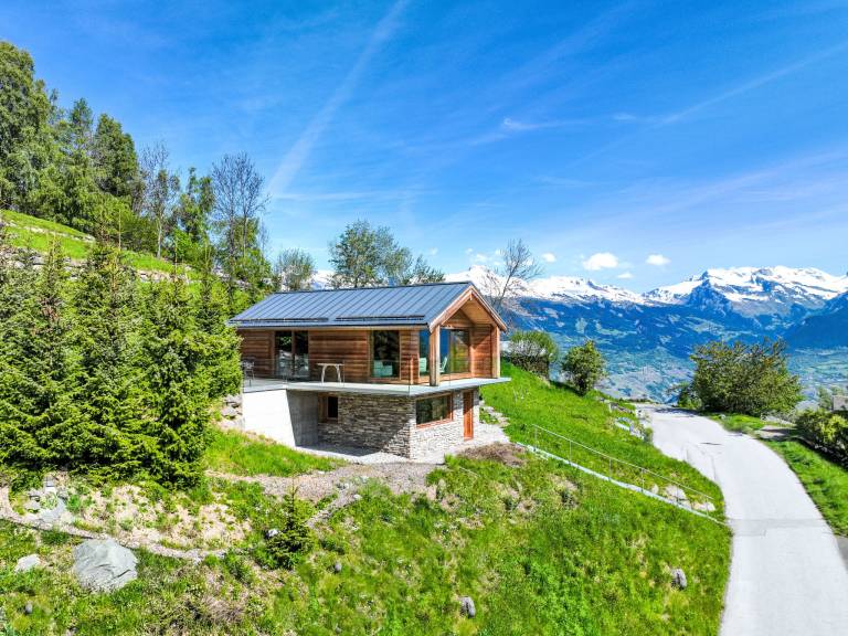 Ferienhaus mit Hund in Nendaz f&uuml;r max. 5 Personen
