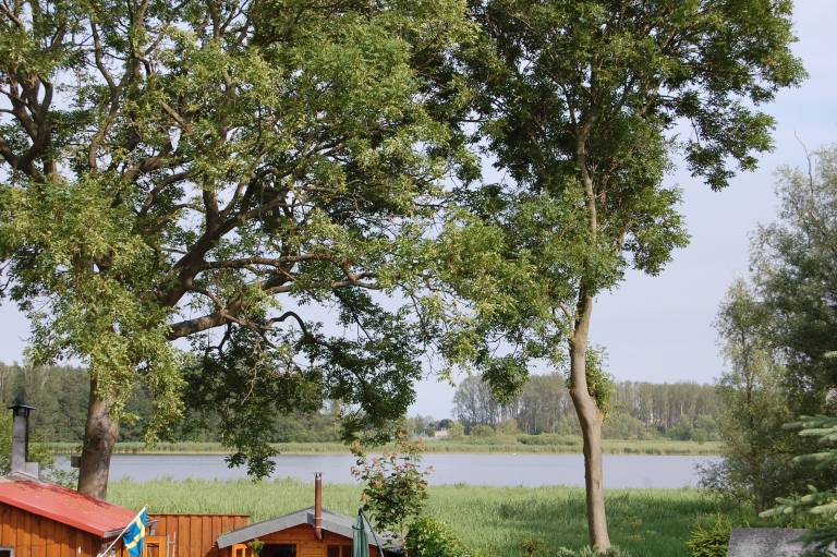 Ferienwohnung Bodstedt