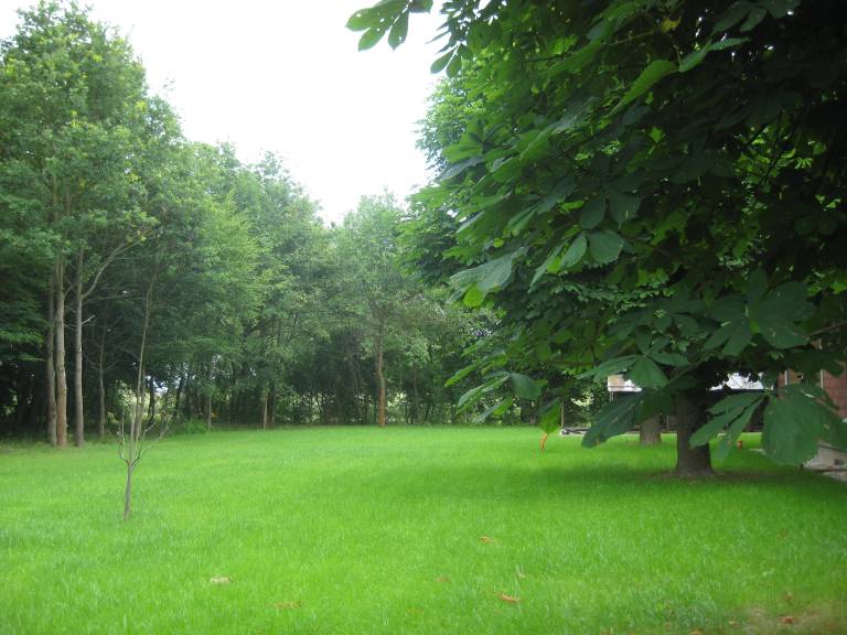 foto13