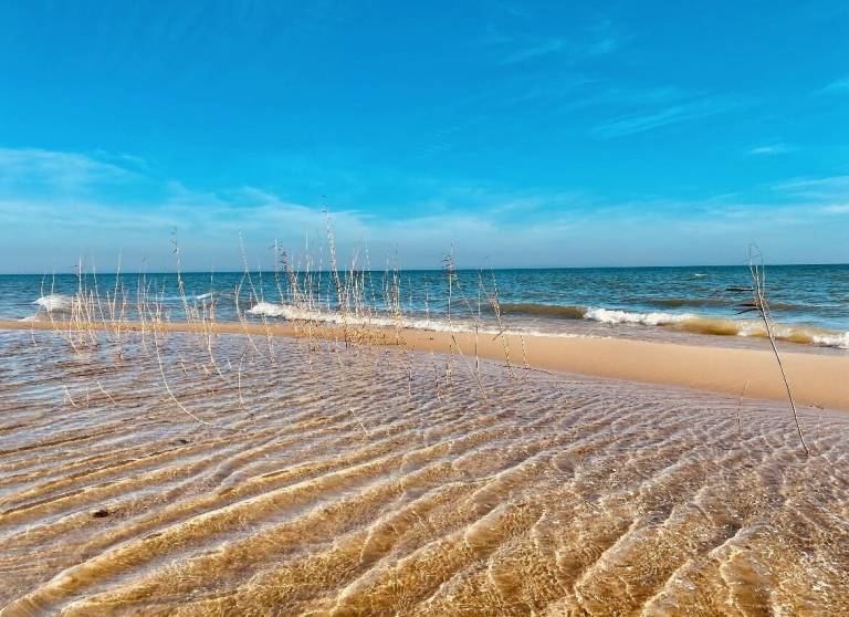 Cottage  Oscoda