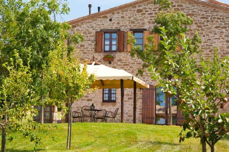 Agriturismo Ampugnano a Gubbio: Ampugnano Leccino — photo 5
