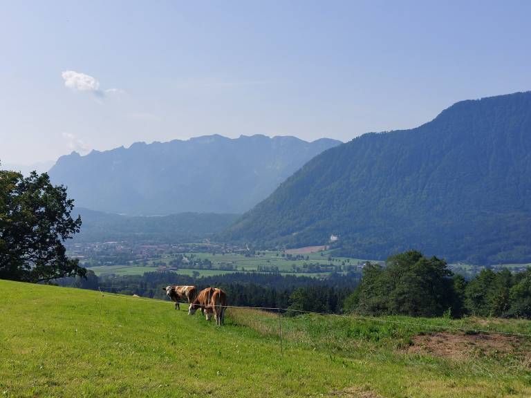 foto21