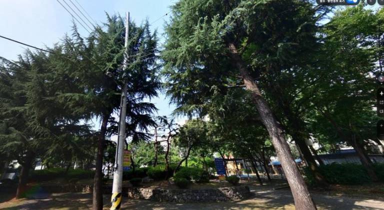 foto12