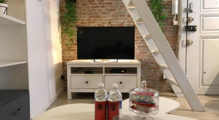 Holiday apartment | Near Capitole de Toulouse — photo 5