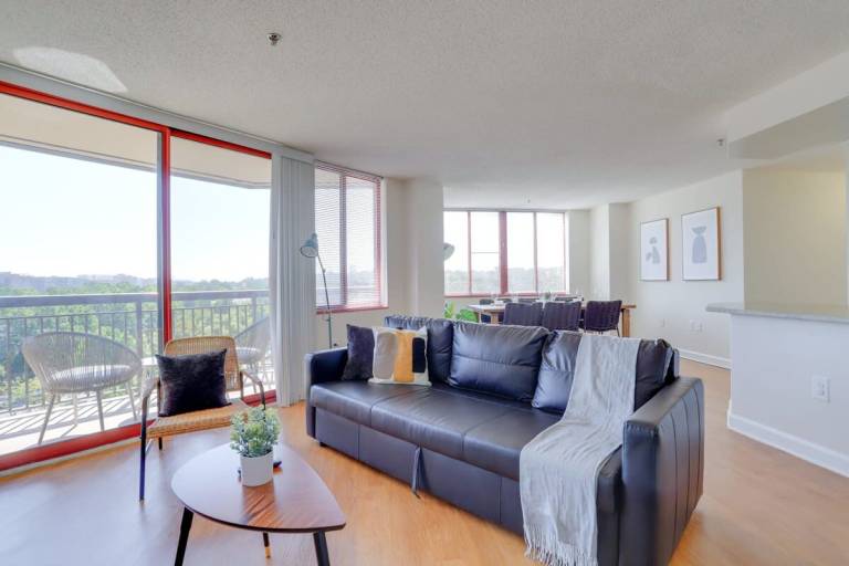 Gorgeous Apt with Rooftop City View Pentagon City