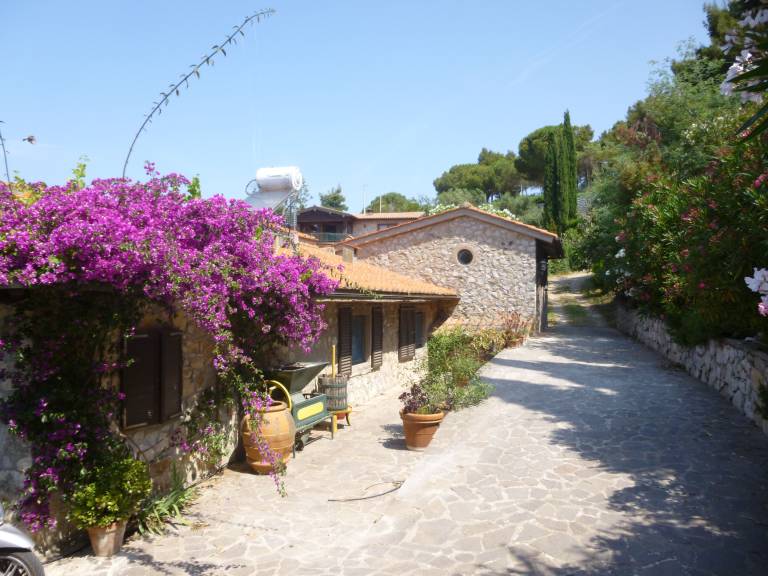 Fully equipped villa | Pets are welcome — photo 2