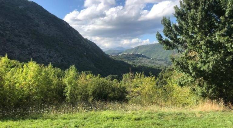 foto5