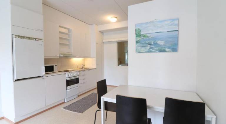 Rental apartment with sauna — photo 5