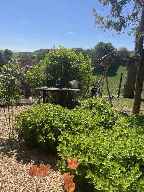 foto11