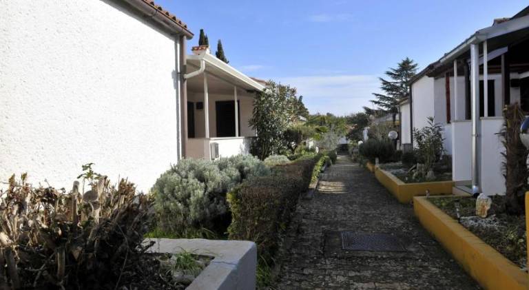 House | Good for workation | Pets allowed — photo 4