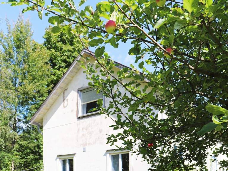 Ferienhaus Östra Ämtervik