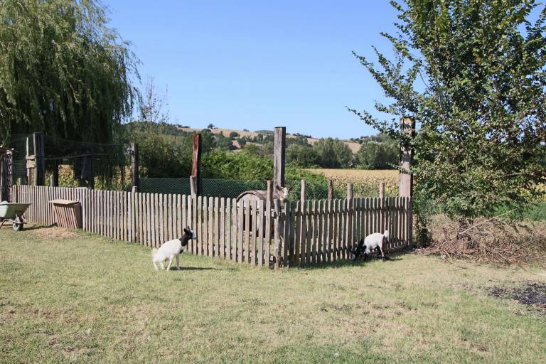 foto17