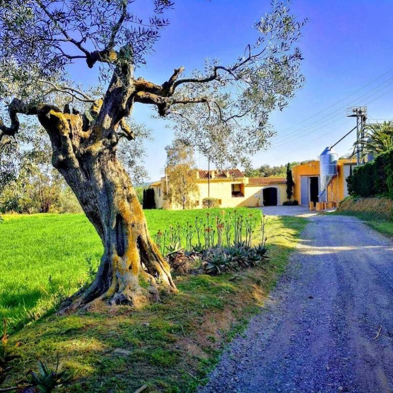 Casa rural  Capmany