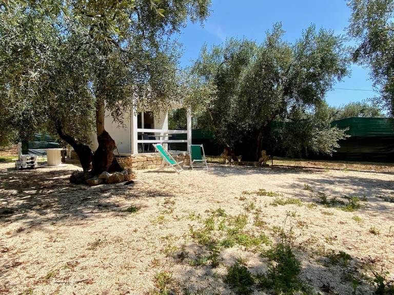 Bungalow with BBQ, terrace & yard | Garden view — photo 4