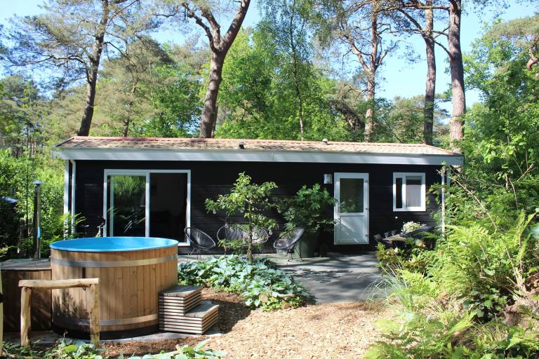 Chalet Dwingeloo