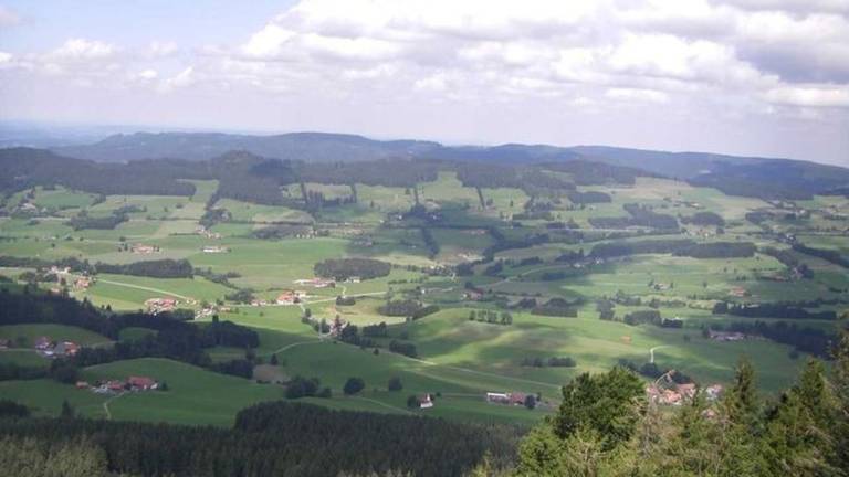 Ferienwohnung Niedersonthofen