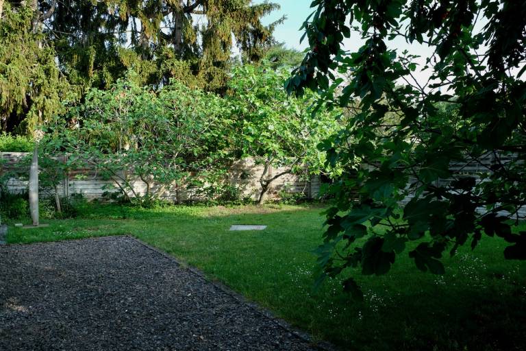 foto17