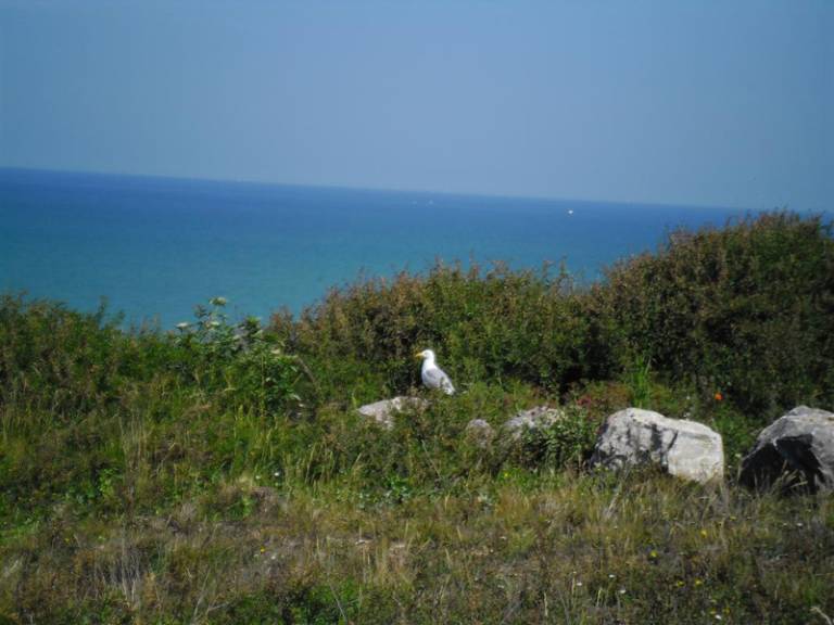 foto35
