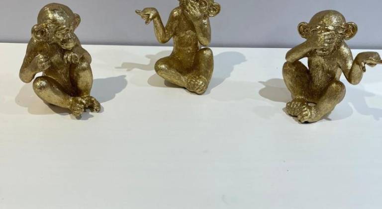 foto16