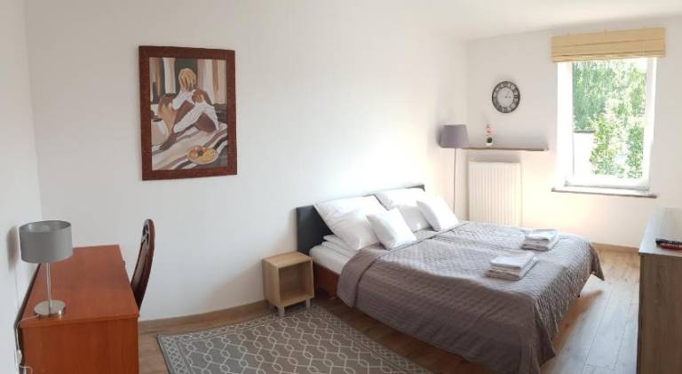 Pleasant rental apartment | Pets are welcome in Kielce