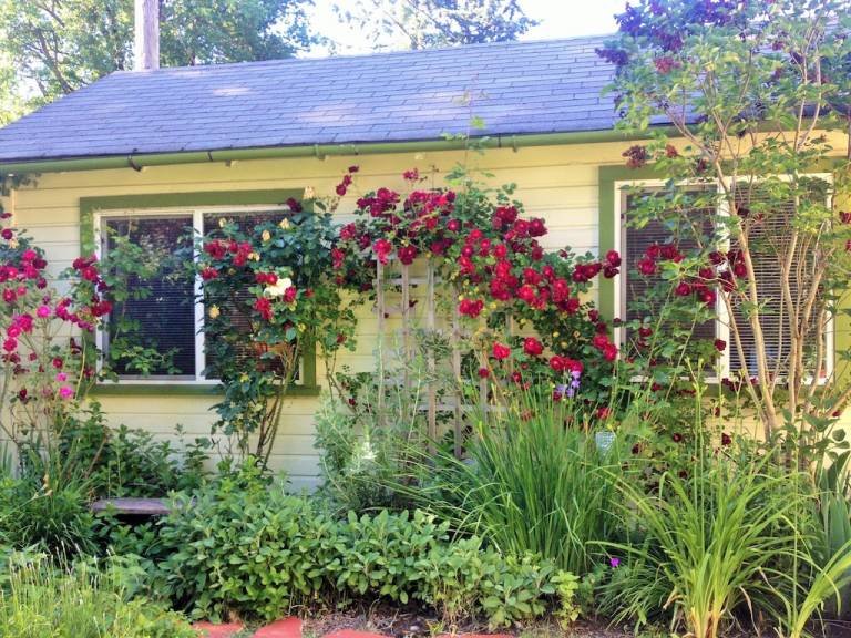 Cabin Eugene