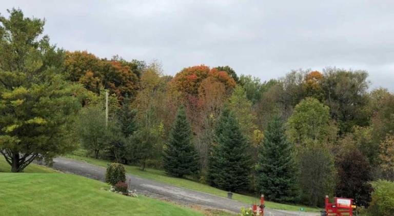 foto21