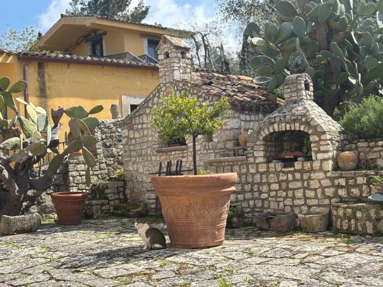 Claudio Marcello Ventrella: La Torretta — photo 2