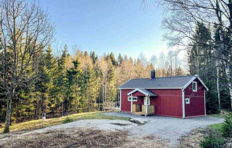 Feriehus Svanesund