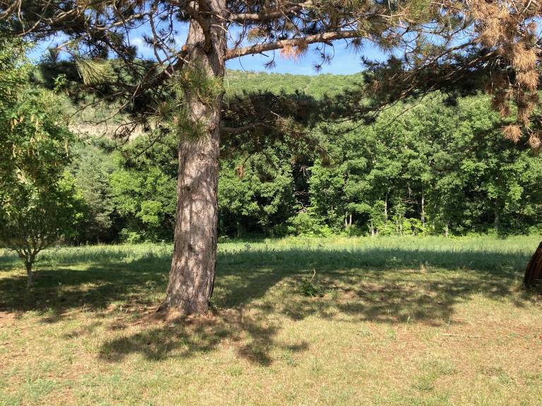 Appartement Limans