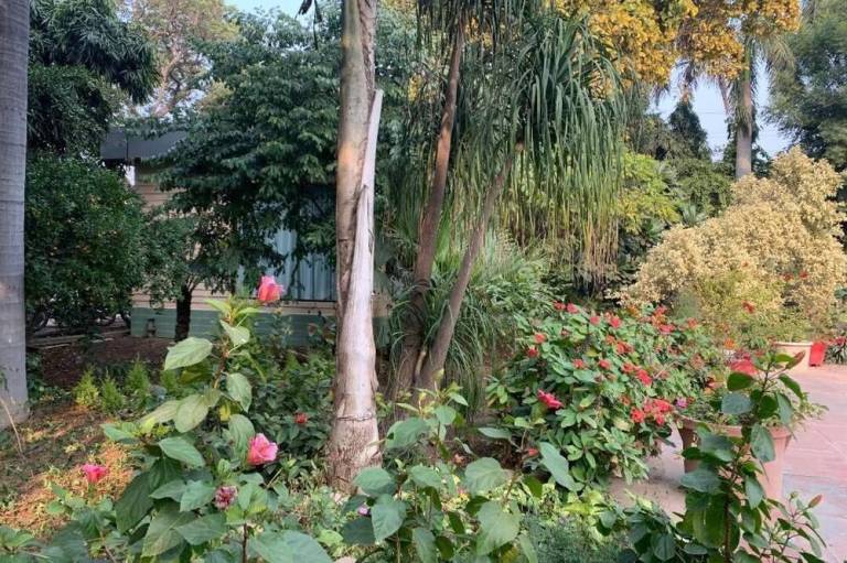 foto16