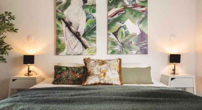 Holiday apartment | Pets are welcome in Zakynthos
