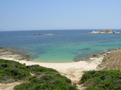 foto6