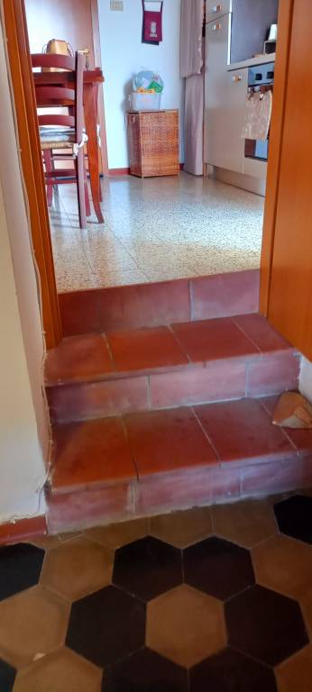 foto7